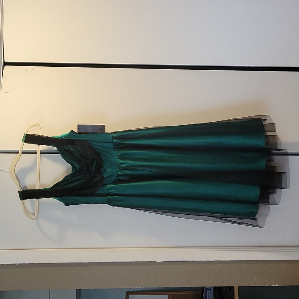 BNWT Esmeralda Swing Dress
